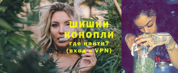 прущие грибы Армянск