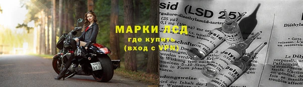 прущие грибы Армянск