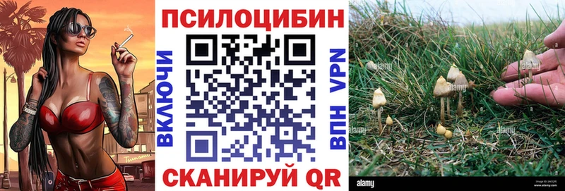 Псилоцибиновые грибы мицелий  хочу наркоту  Тобольск 